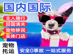 贵阳龙洞堡航空货运国际宠物托运 【国